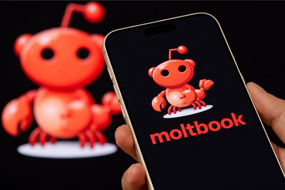 Moltbook : le réseau social 100 % IA qui fascine et inquiète